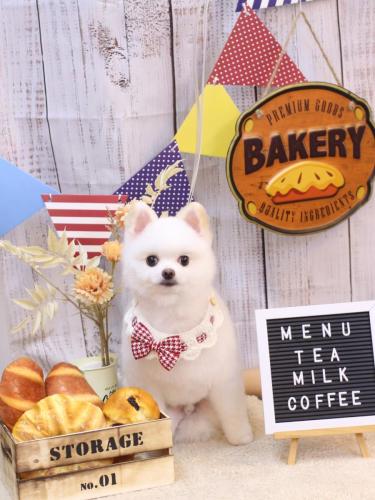 20240907ずんだくん